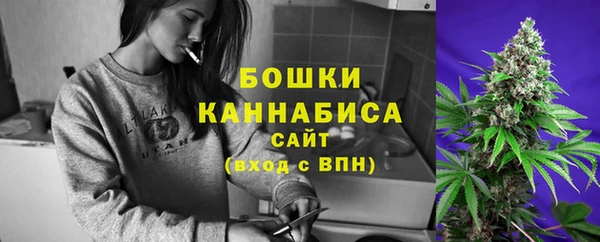 гидропоника Горнозаводск